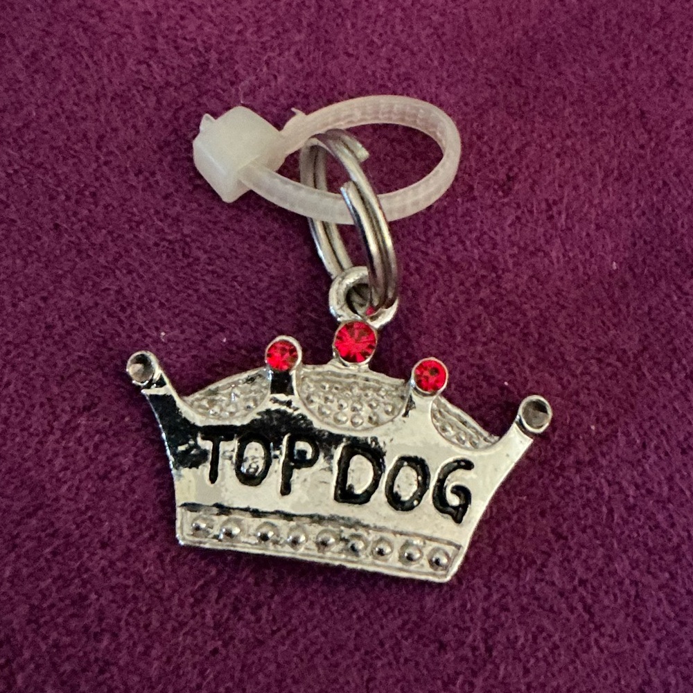 GANZ Pet Collar Charm Tag “TOP DOG”